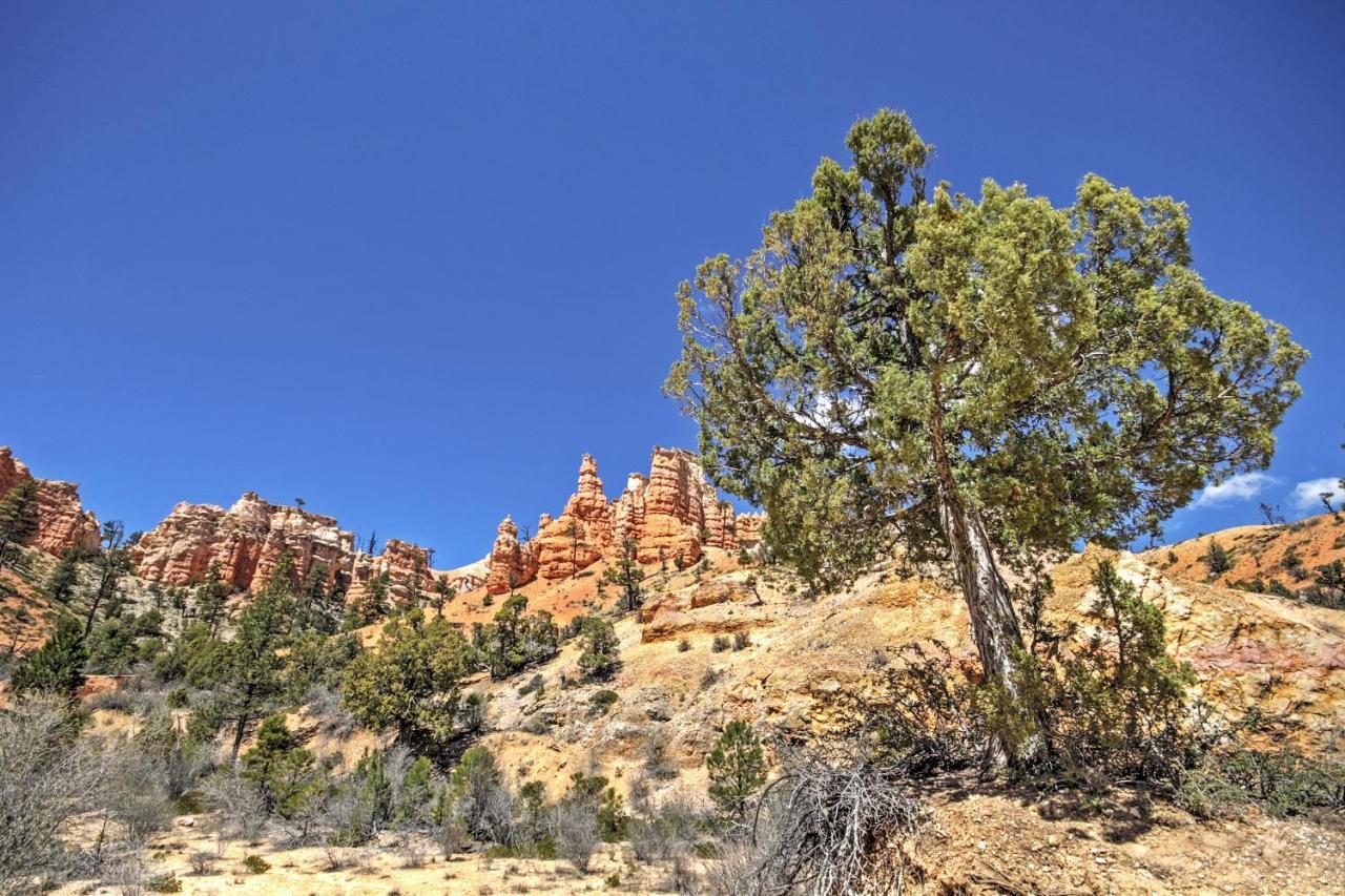 Bryce Canyon Area House With Mountain Views! Tropic Buitenkant foto